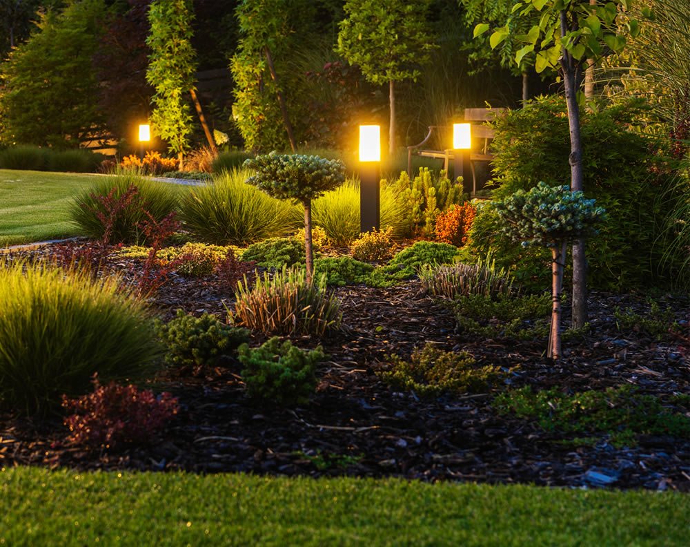 Landscape Lighting